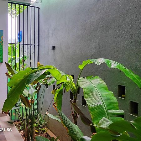 Barefoot Bungalow Hikka ฮิกคาดูวา ภายนอก รูปภาพ