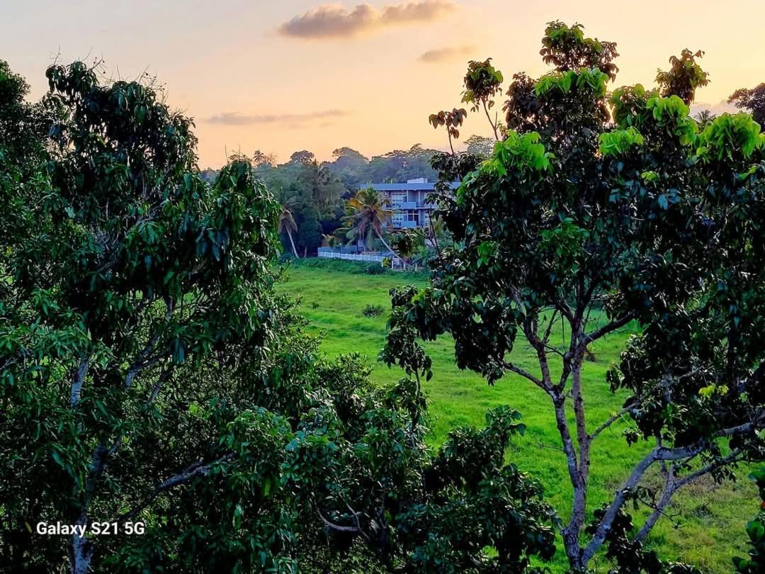 Barefoot Bungalow Hikka ฮิกคาดูวา ภายนอก รูปภาพ