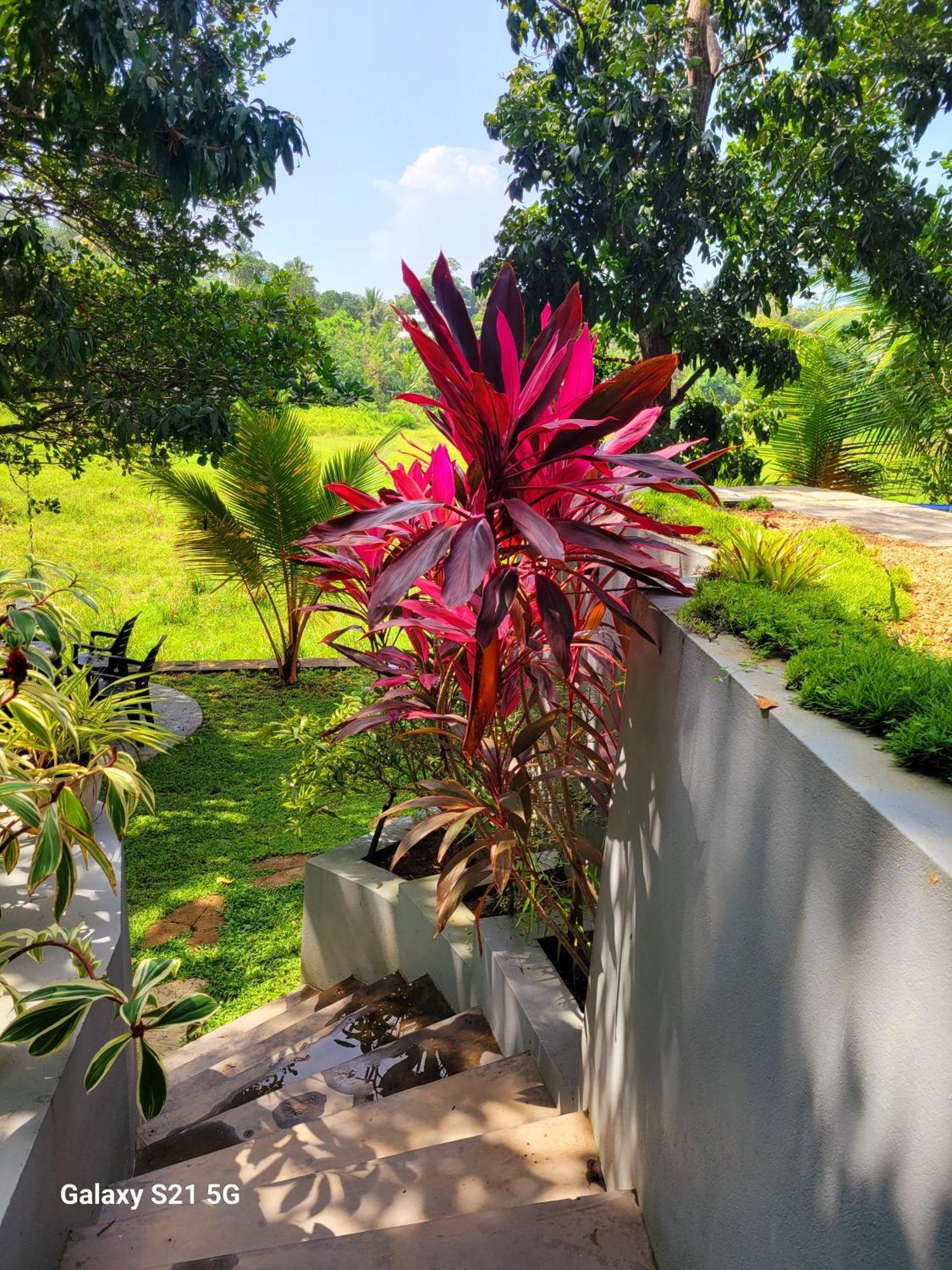 Barefoot Bungalow Hikka ฮิกคาดูวา ภายนอก รูปภาพ