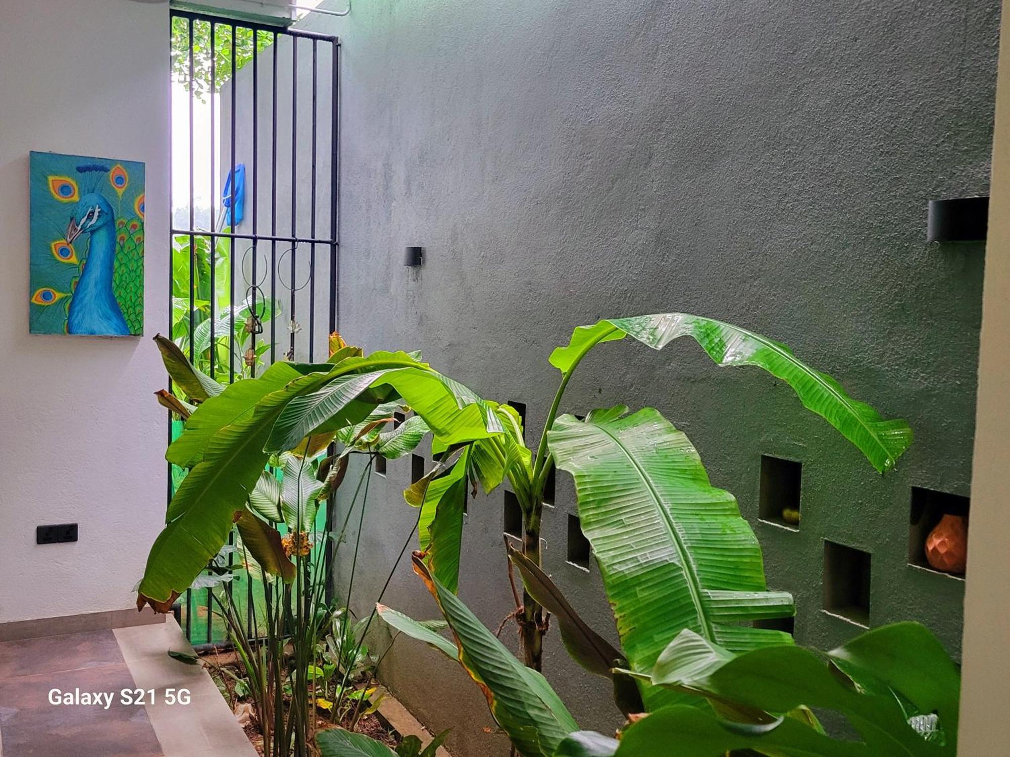 Barefoot Bungalow Hikka ฮิกคาดูวา ภายนอก รูปภาพ