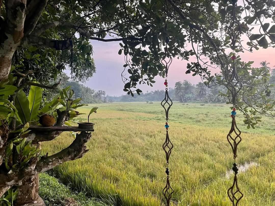 Barefoot Bungalow Hikka ฮิกคาดูวา ภายนอก รูปภาพ